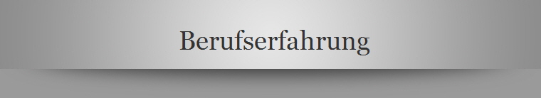 Berufserfahrung